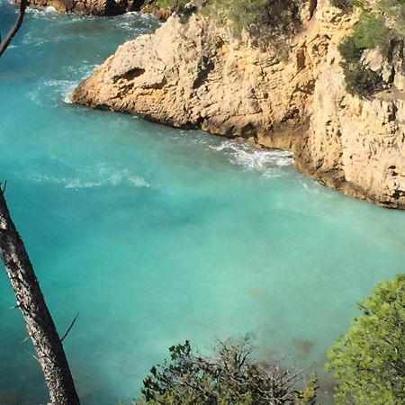 T3 Saint Cyr Sur Mer 83270 Zewnętrze zdjęcie