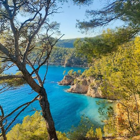 T3 Saint Cyr Sur Mer 83270 Zewnętrze zdjęcie