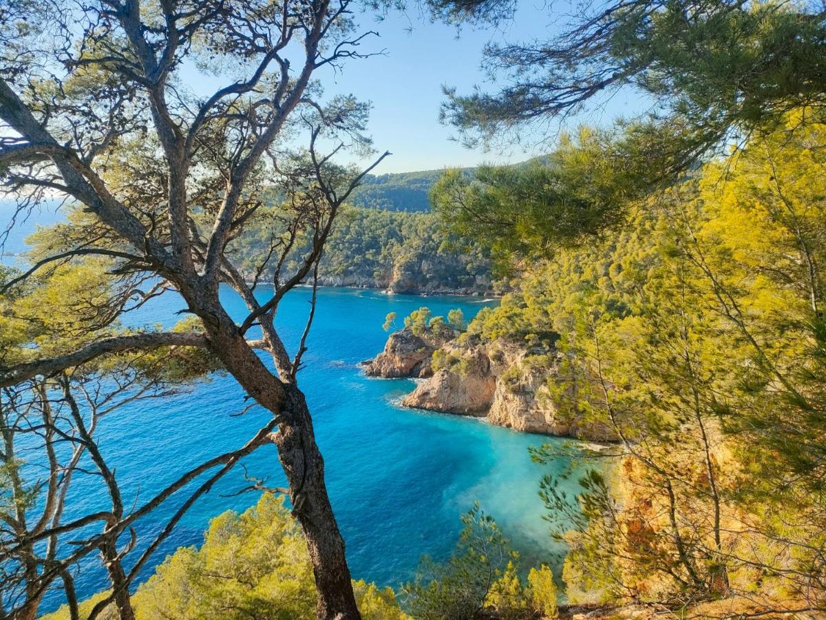T3 Saint Cyr Sur Mer 83270 Zewnętrze zdjęcie